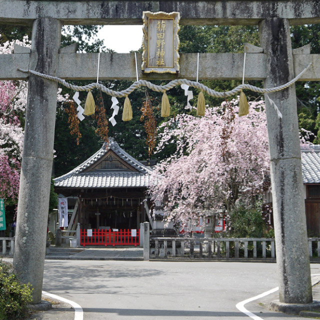 薭田野神社